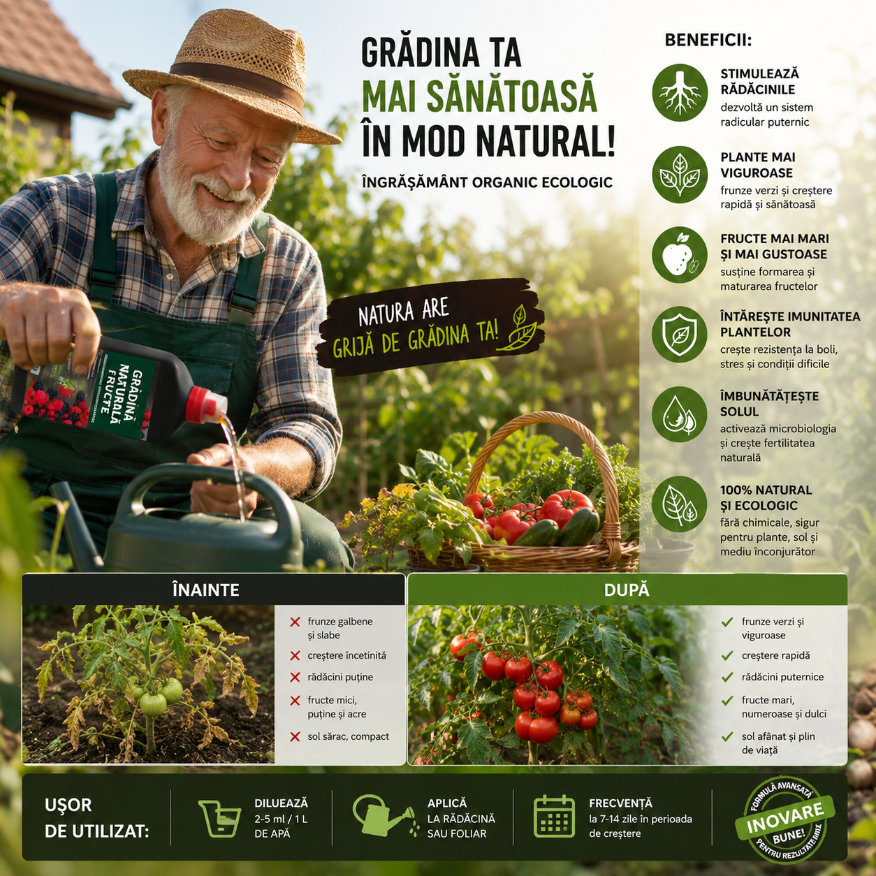 Îngrășământ Natural Pentru Căpșuni
